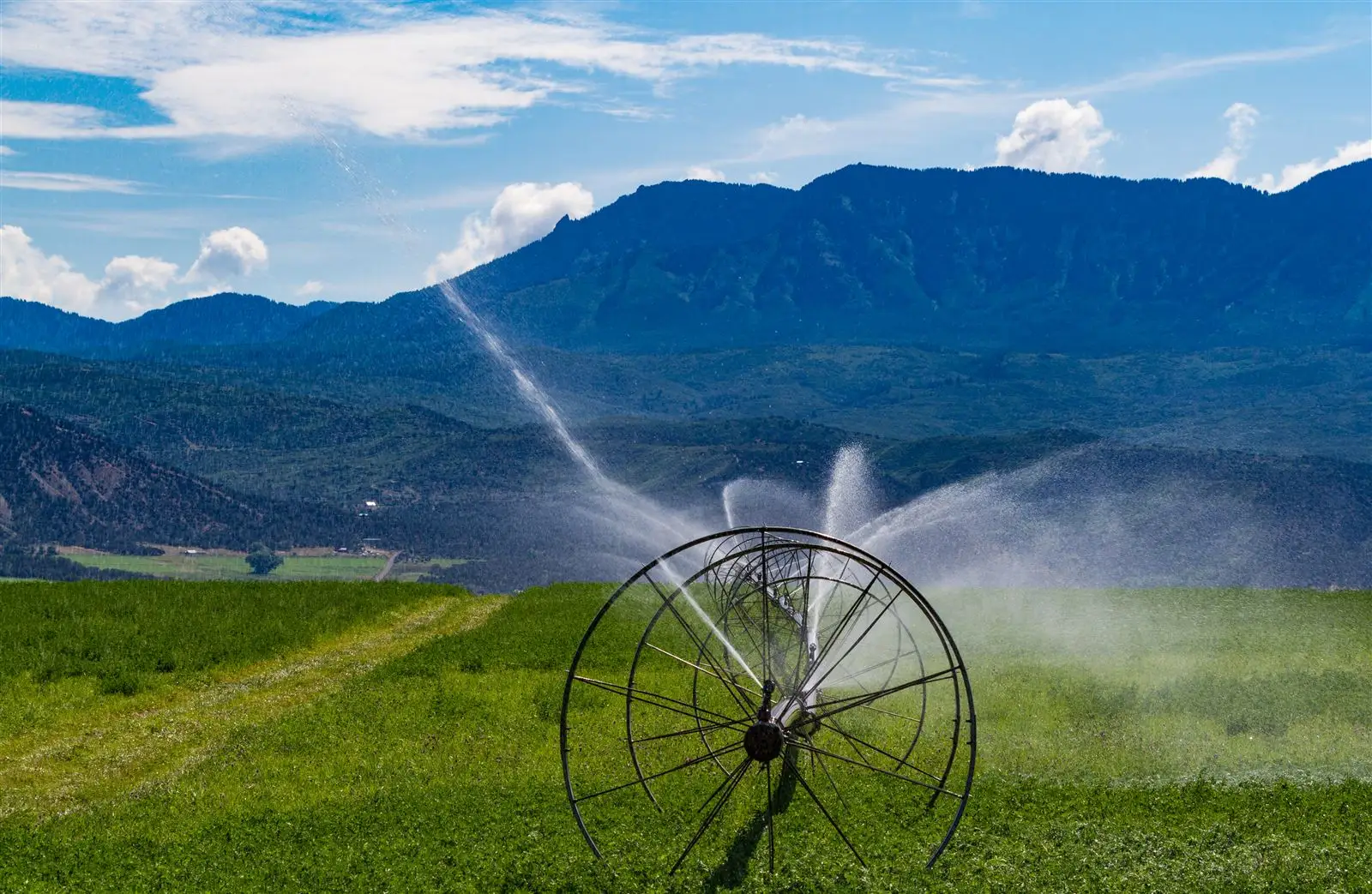 Agriculture